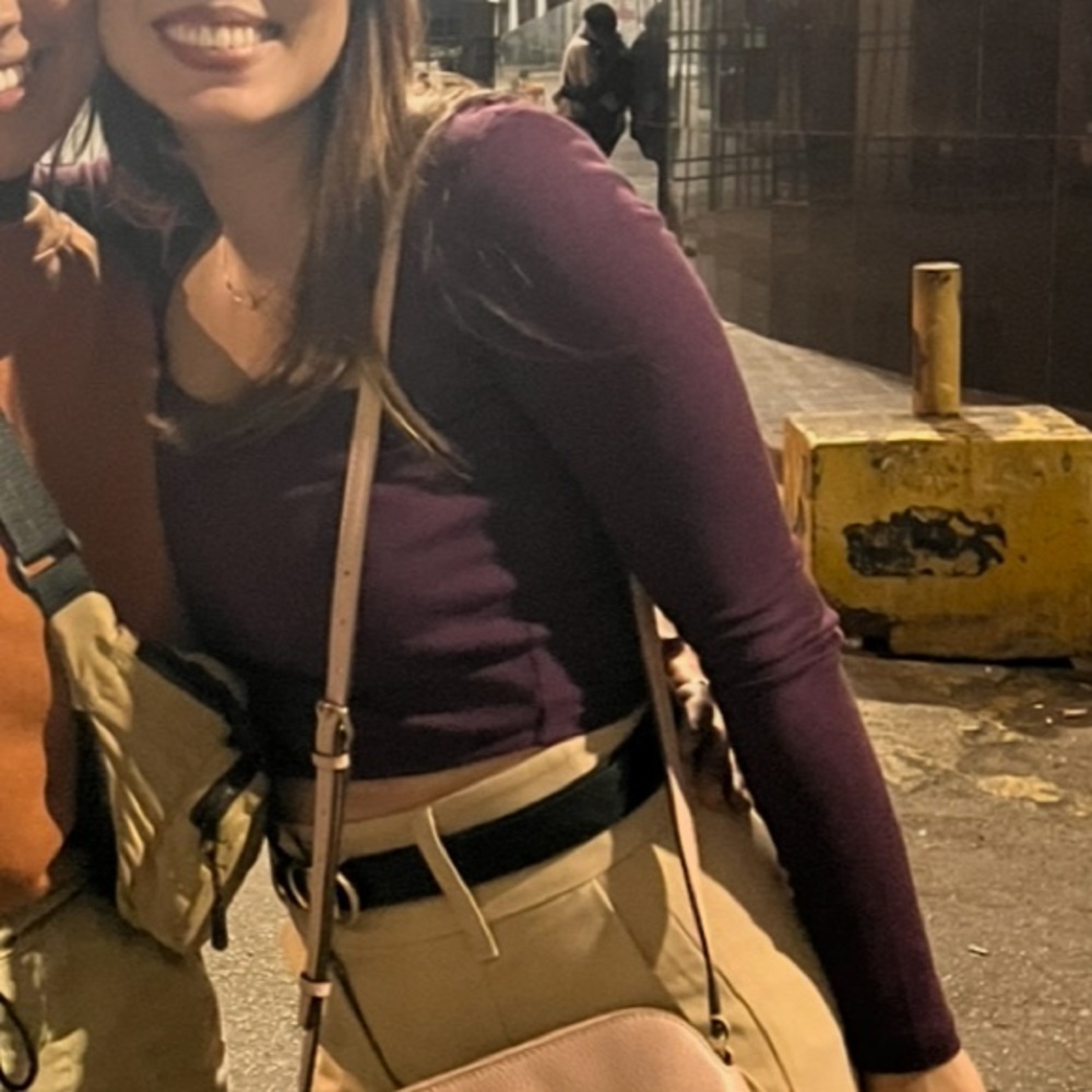 Zara Purple Fitted Crop Top Blouse